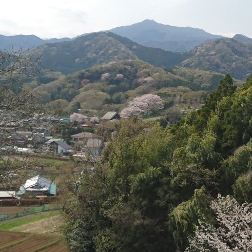 Nanasawa Forest Park景点图片