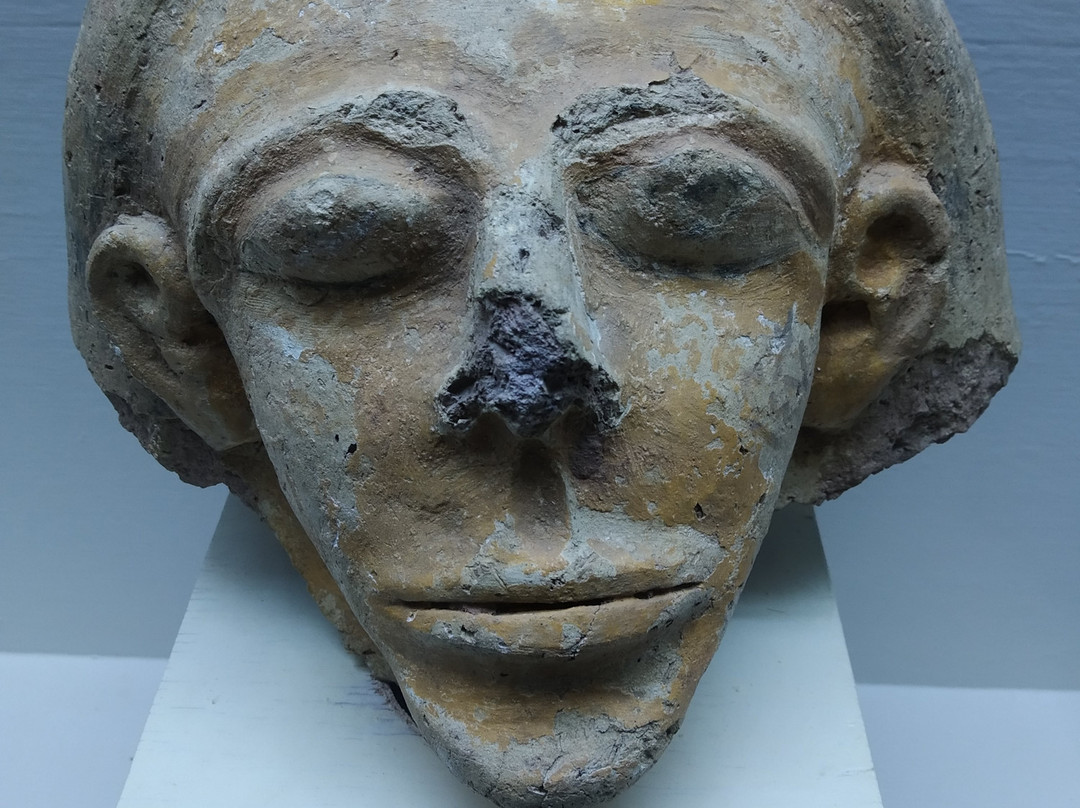 New Valley Museum-Kharga必去景点