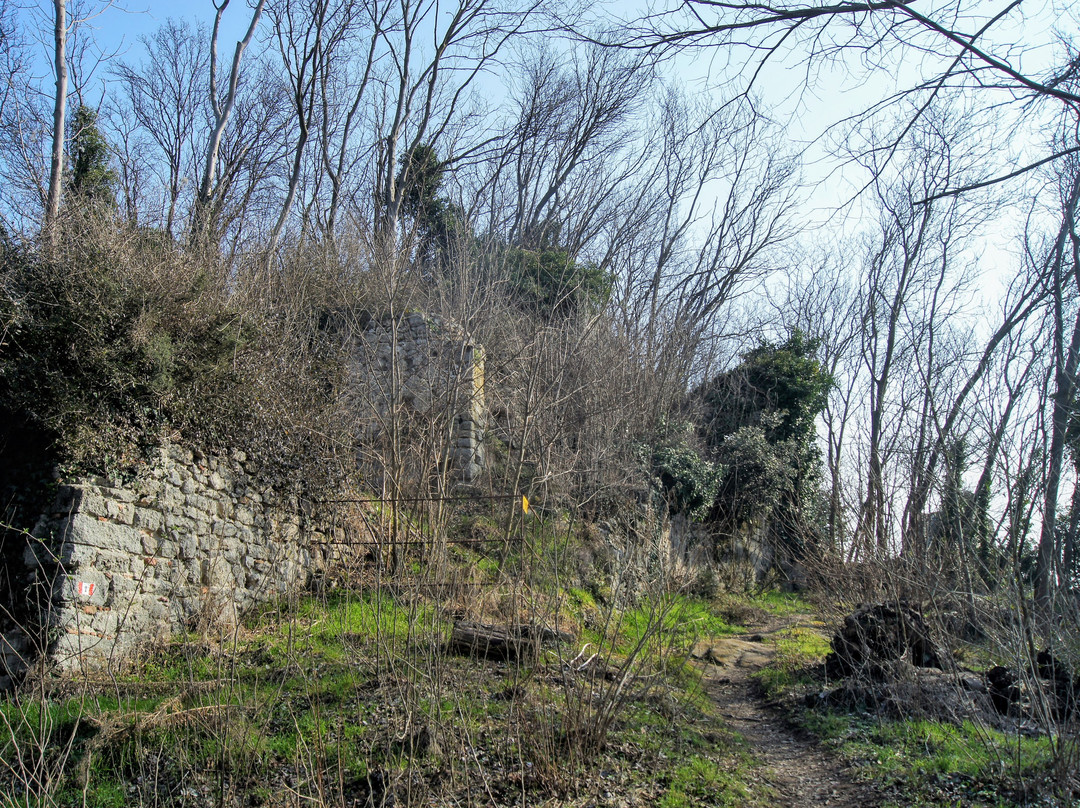 Ruderi Castello di Speronella a Rocca Pendice景点图片