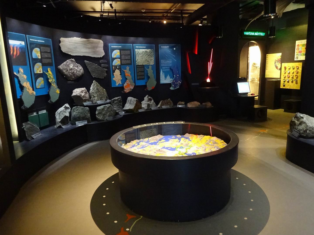 Natural History Museum of Central Finland-于韦斯屈莱必去景点
