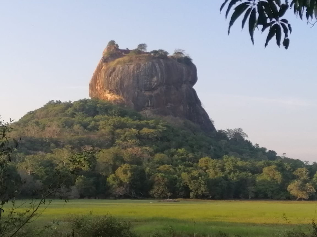 Dee Lanka Tours景点图片