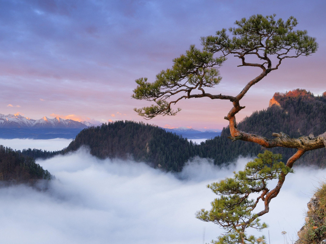 Tatry Travelia景点图片