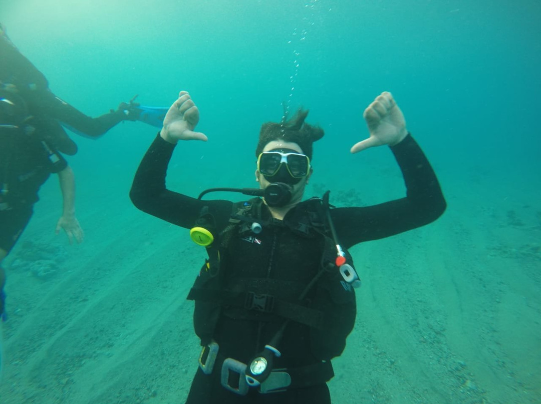 Mowgli dive center景点图片