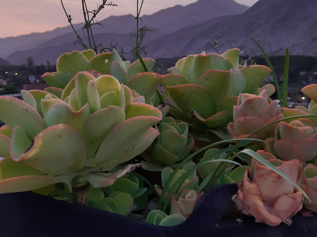 Refugio de Santiago Ecolodge主图