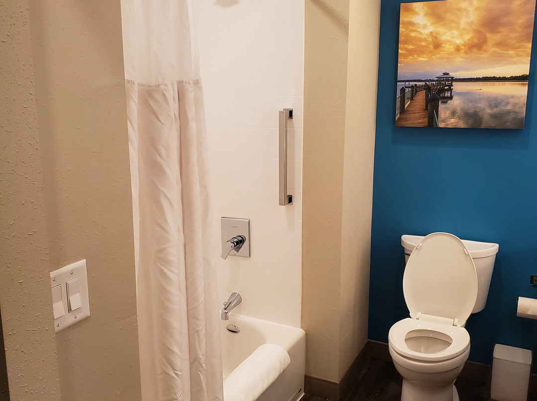 Cambria Hotel Mount Pleasant - Charleston主图