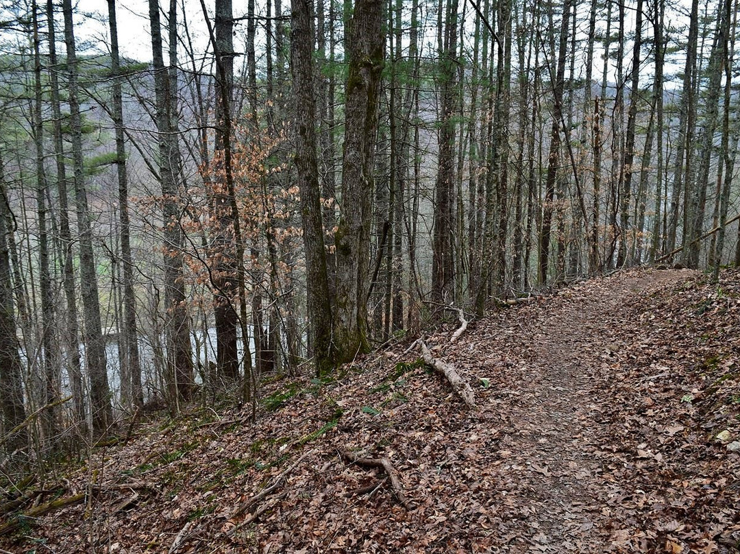 New River State Park景点图片