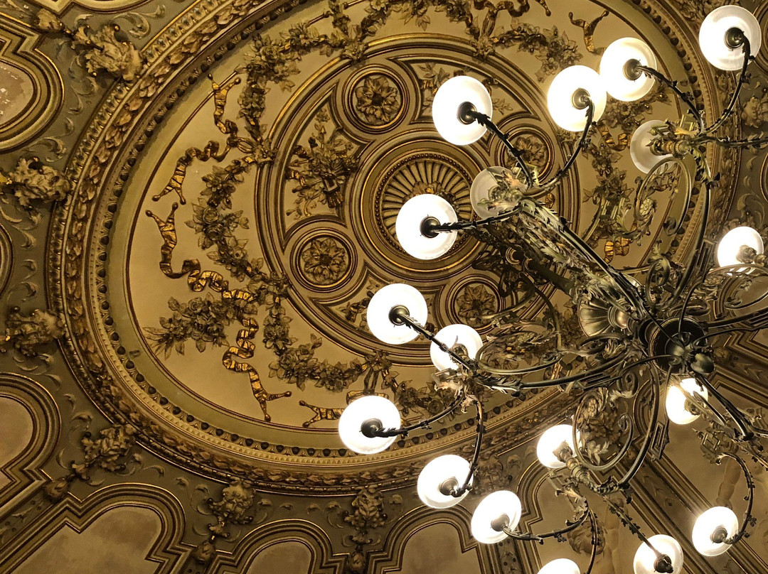 Teatro Massimo Bellini景点图片