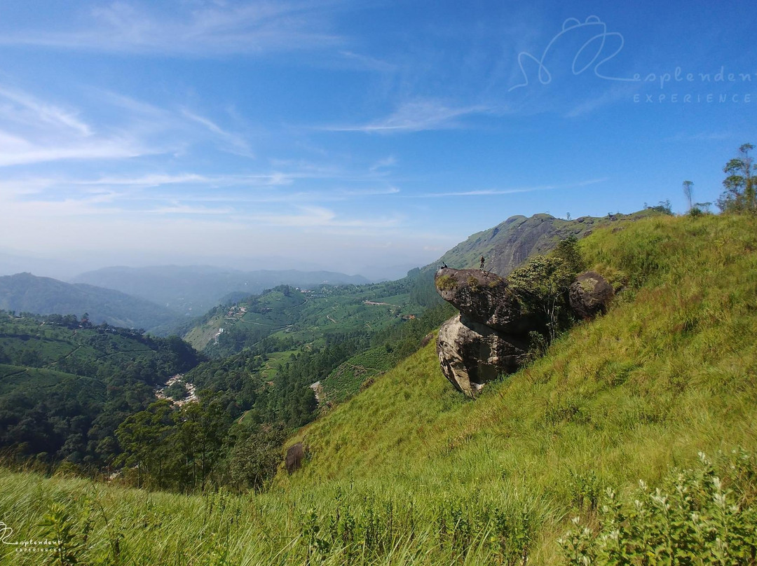 Resplendent Experiences景点图片