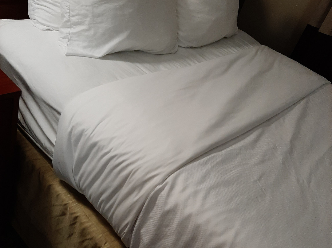 Comfort Suites Clayton - Garner主图