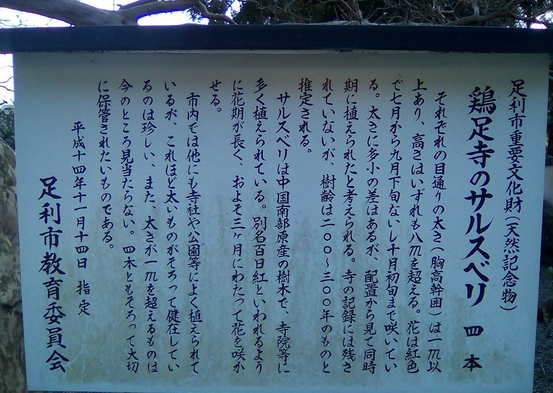 Keisoku-ji Temple-足利市必去景点