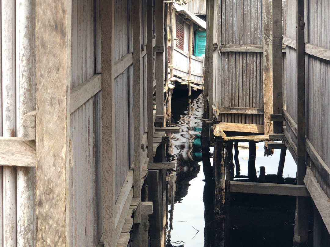 nzulezo stilt village tour景点图片