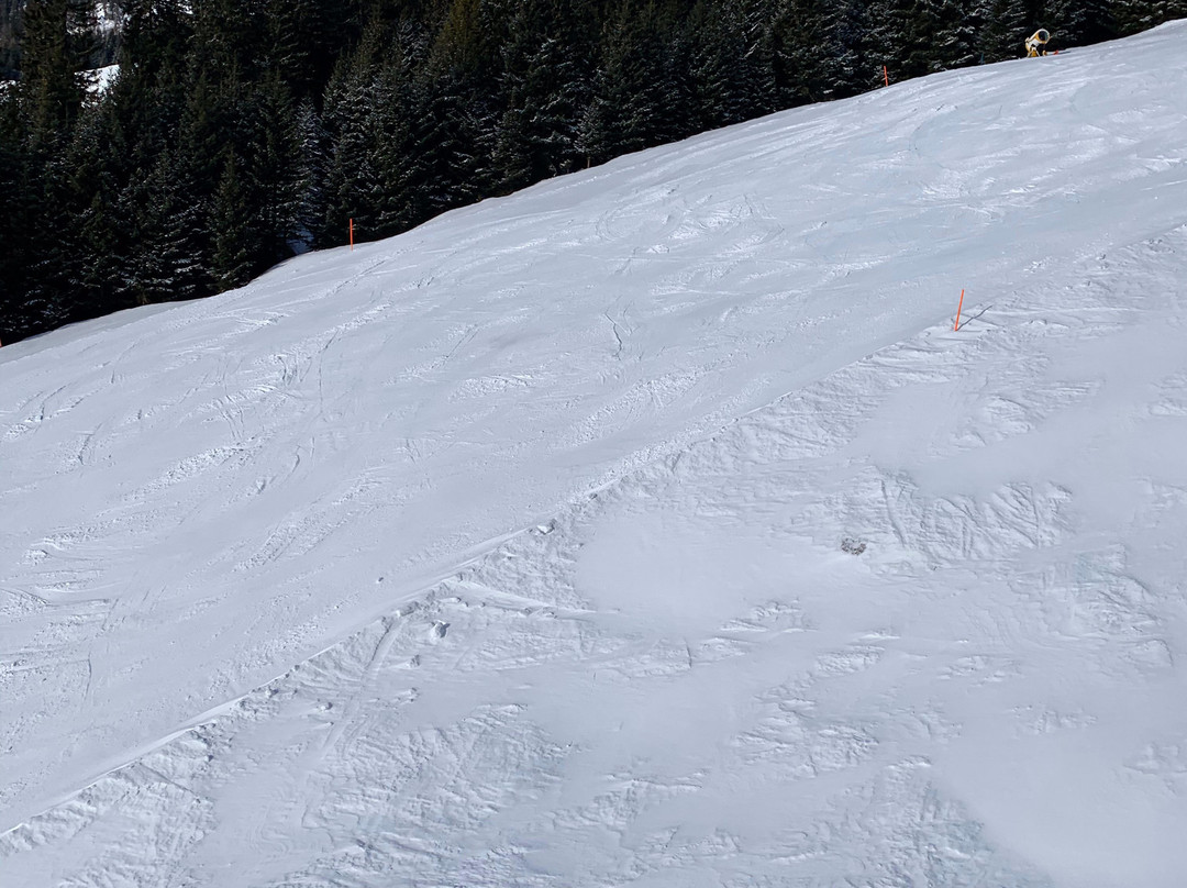 Serfaus Fiss Ladis-Fiss必去景点