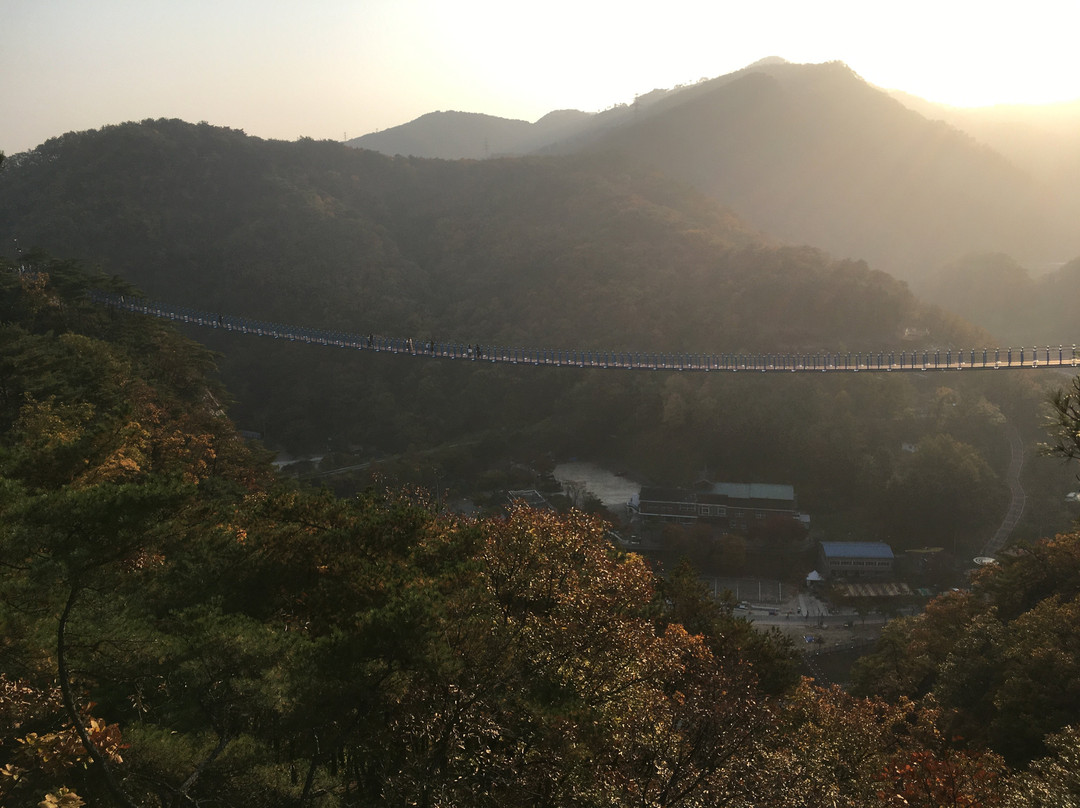 Wonju Sogeumsan Mountain Suspension Bridge-原州市必去景点