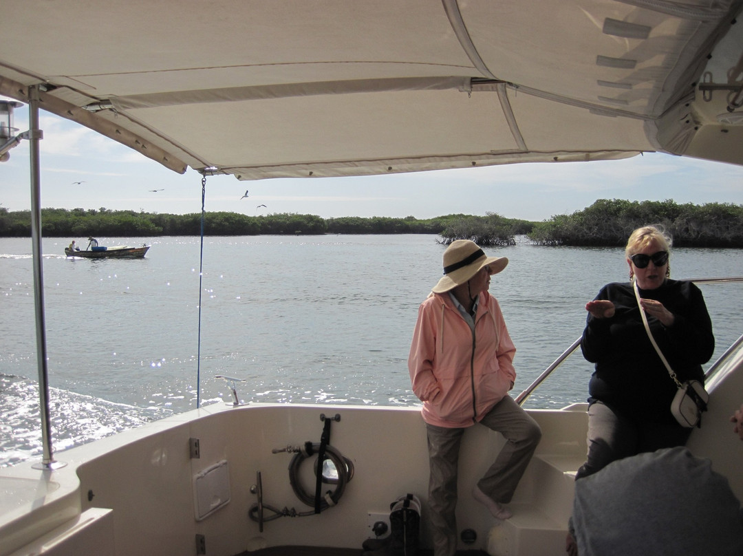 Mag Bay Outfitters-Adolfo Lopez Mateos必去景点