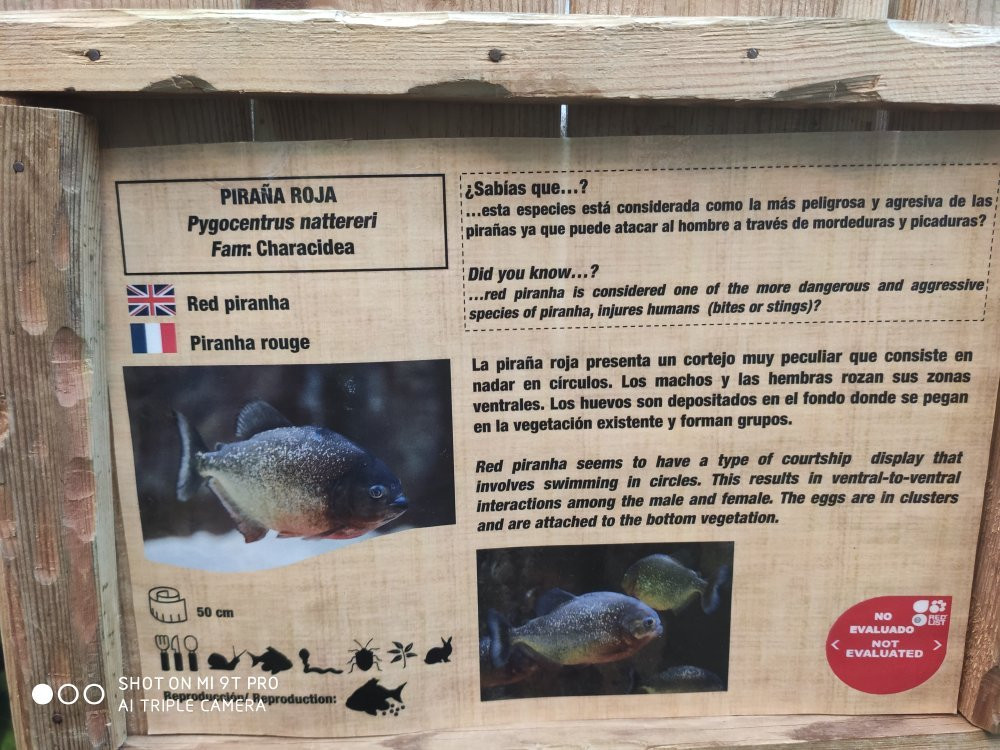 Acuario de Zaragoza-萨拉戈萨省必去景点
