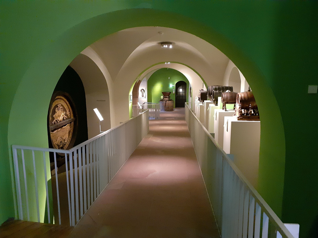 Historisches Museum der Pfalz Speyer景点图片