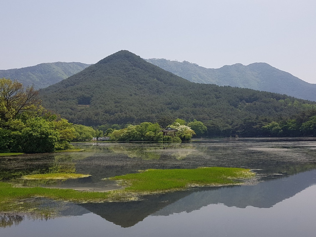 Wiyangji-密阳市必去景点