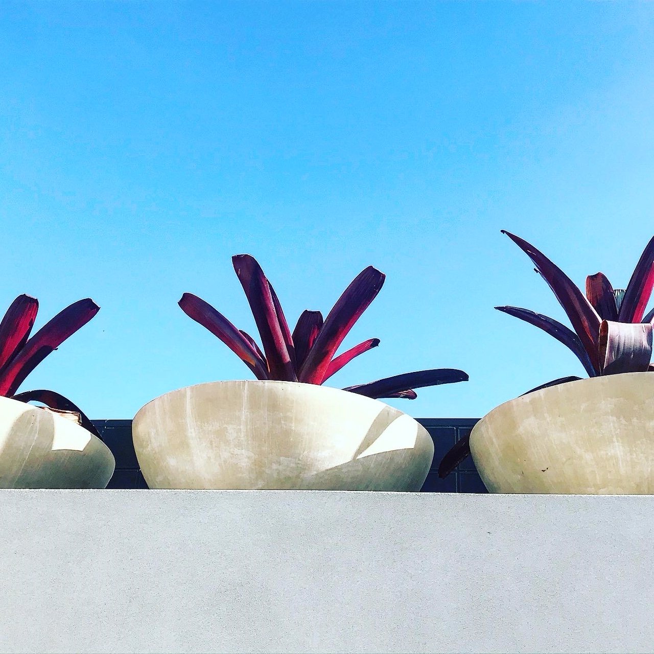 The Albert Hotel Mosman-浴室