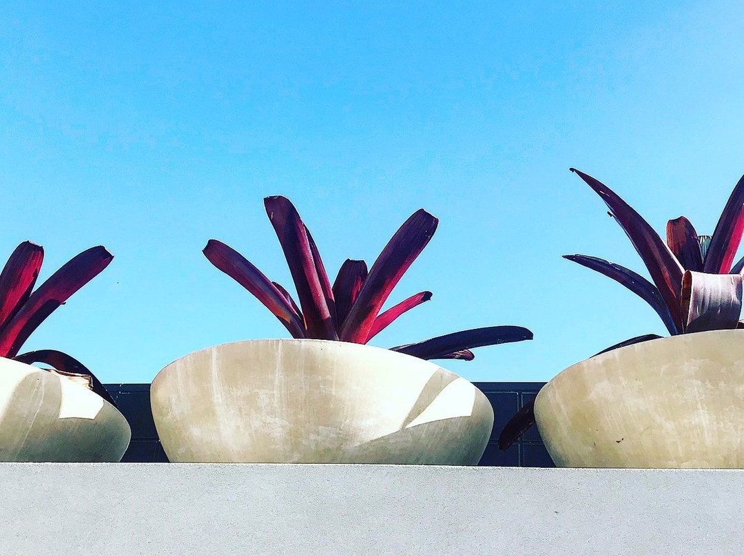 The Albert Hotel Mosman主图