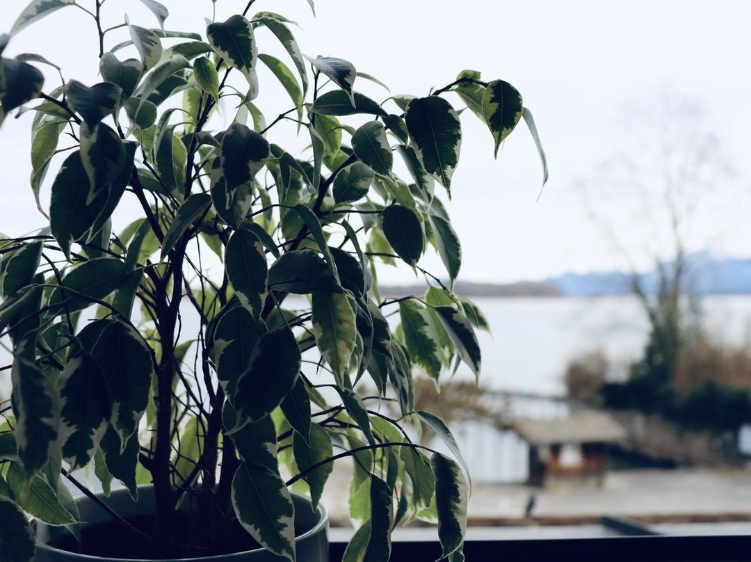 Hotel Garni Moewe am See主图