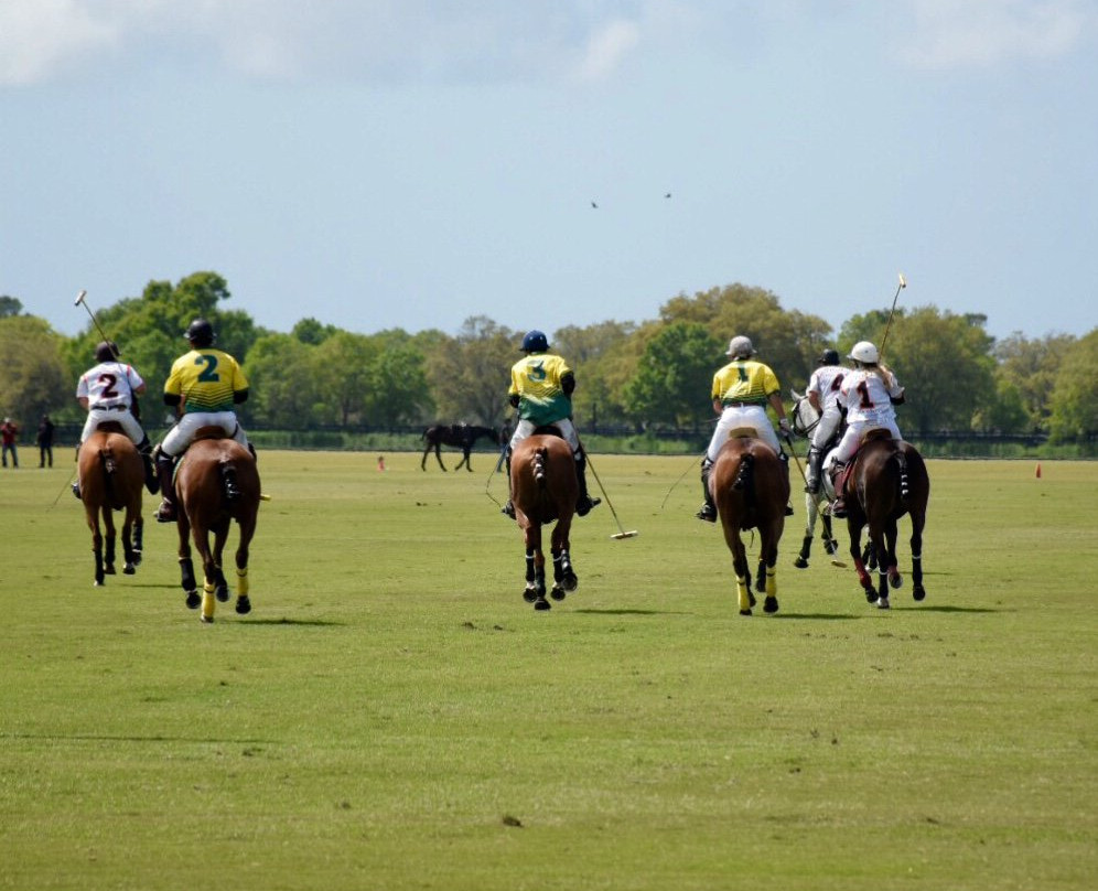 Sarasota Polo-Lakewood Ranch必去景点