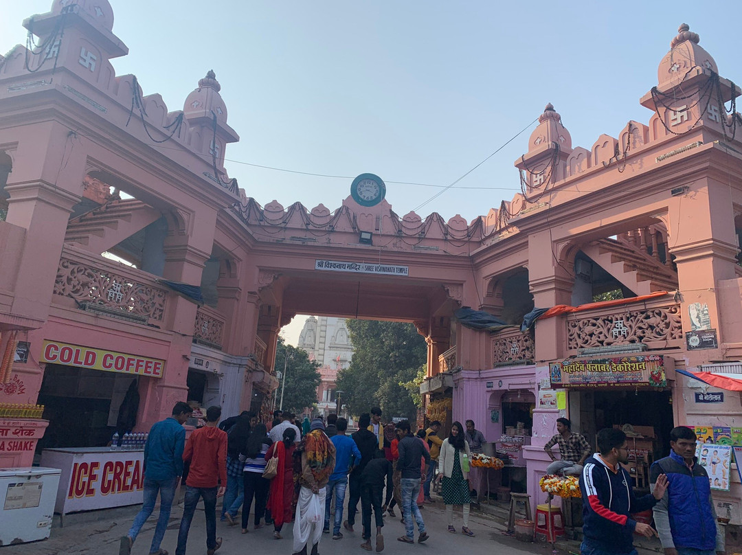 New Vishwanath Temple景点图片