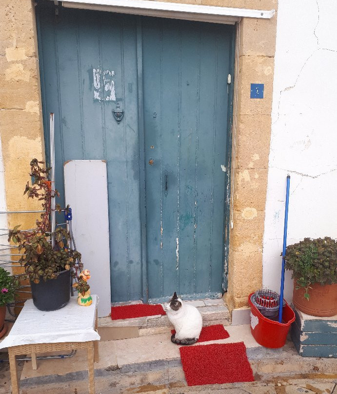 The Samanbahce Quater-尼科西亚必去景点