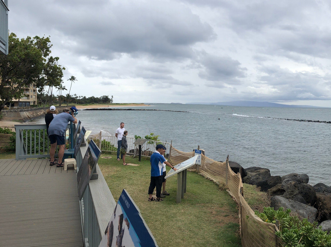 Hawaiian Islands Humpback Whale Sanctuary Visitor Center-基黑必去景点