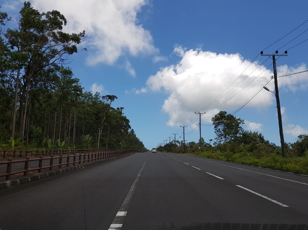 Taxi Mauritius-庞波慕斯必去景点