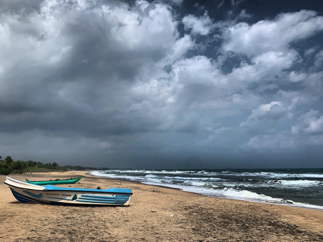 Nilaveli Sand Life主图