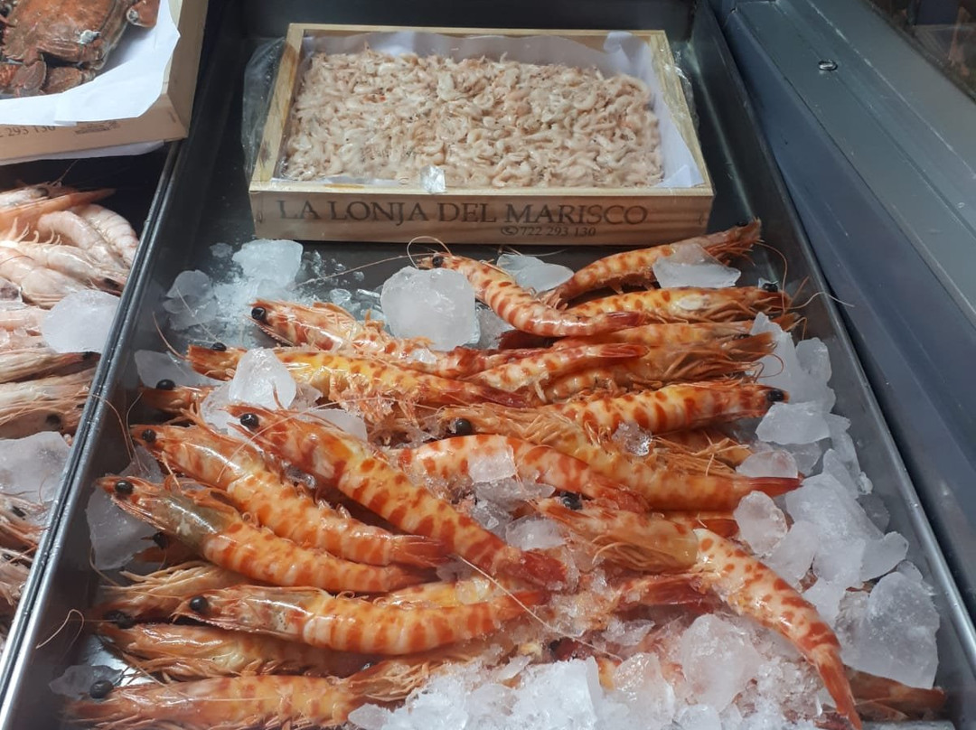 岗萨罗酒店主图