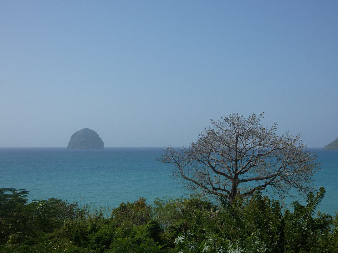 Norden Vincent's Martinique TOUR景点图片