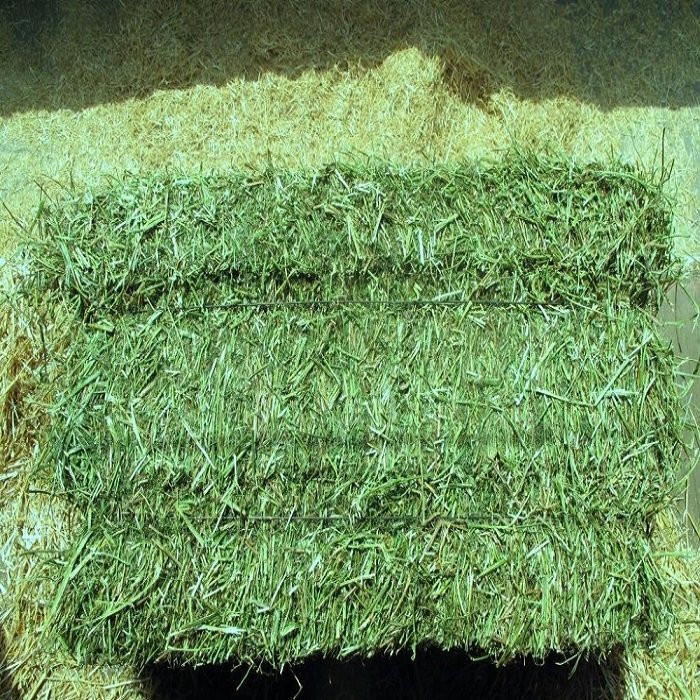 50 Shades of Hay B&B主图