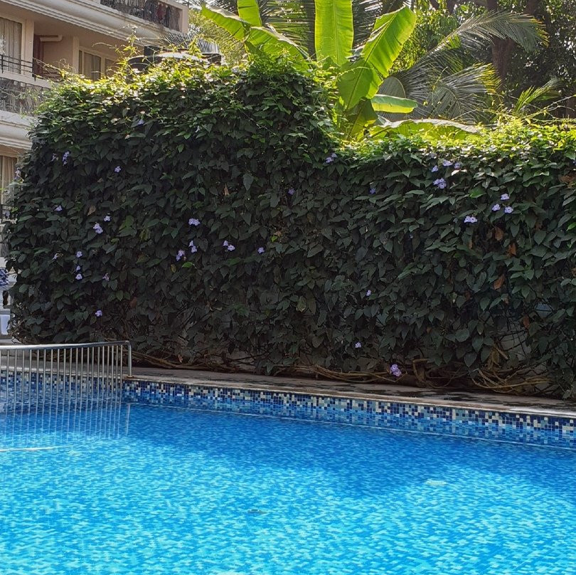 海洋棕榈果阿酒店主图