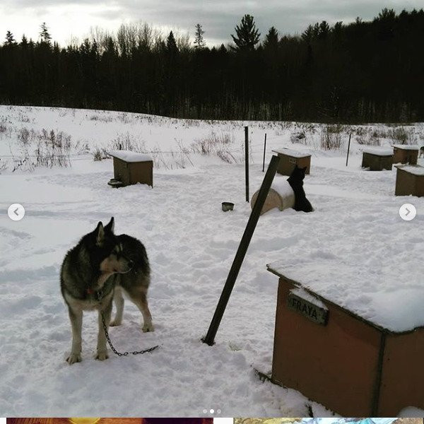 Bonjour Nature-蒙特利尔必去景点