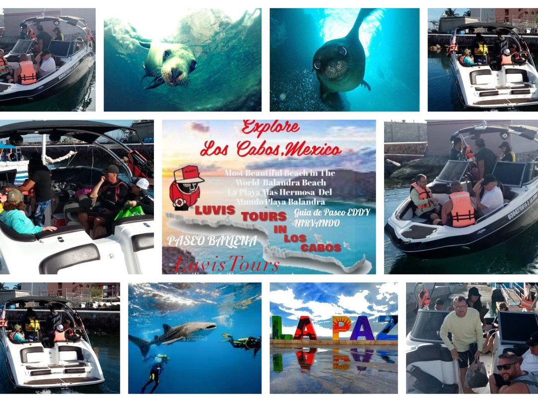 Luvis Tours-卡波圣卢卡斯必去景点