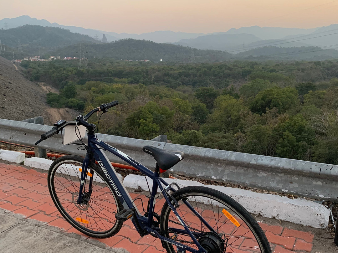 Cycle Tours at Statue of Unity景点图片