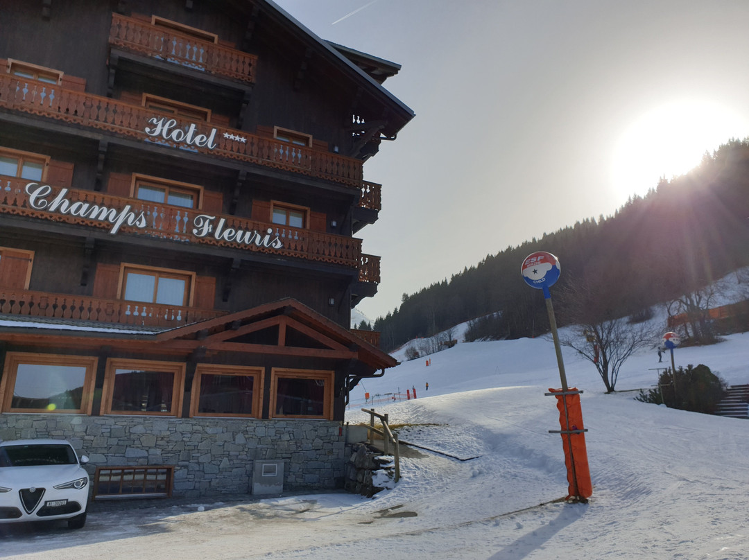 Hotel Champs Fleuris主图