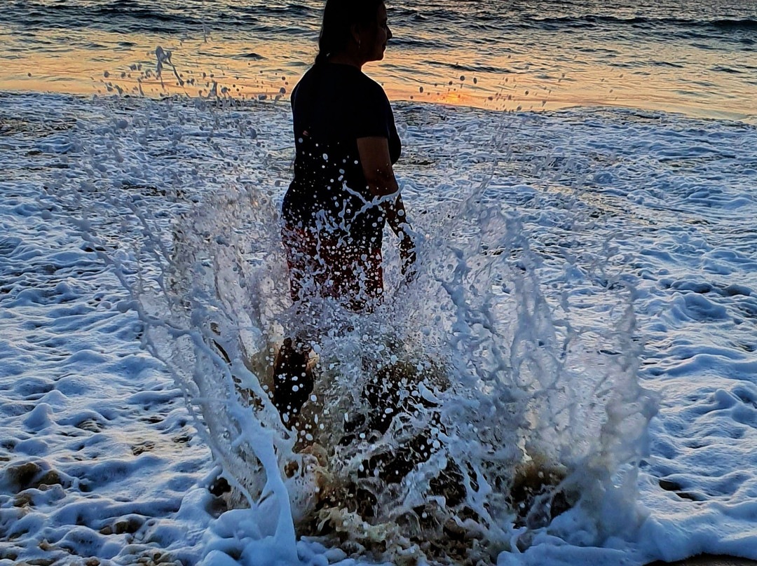 Hotel Samudra KTDC主图