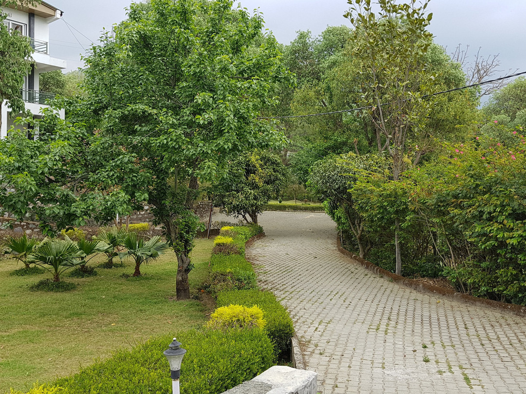 Chirping Hills Resort, Bhimtal主图