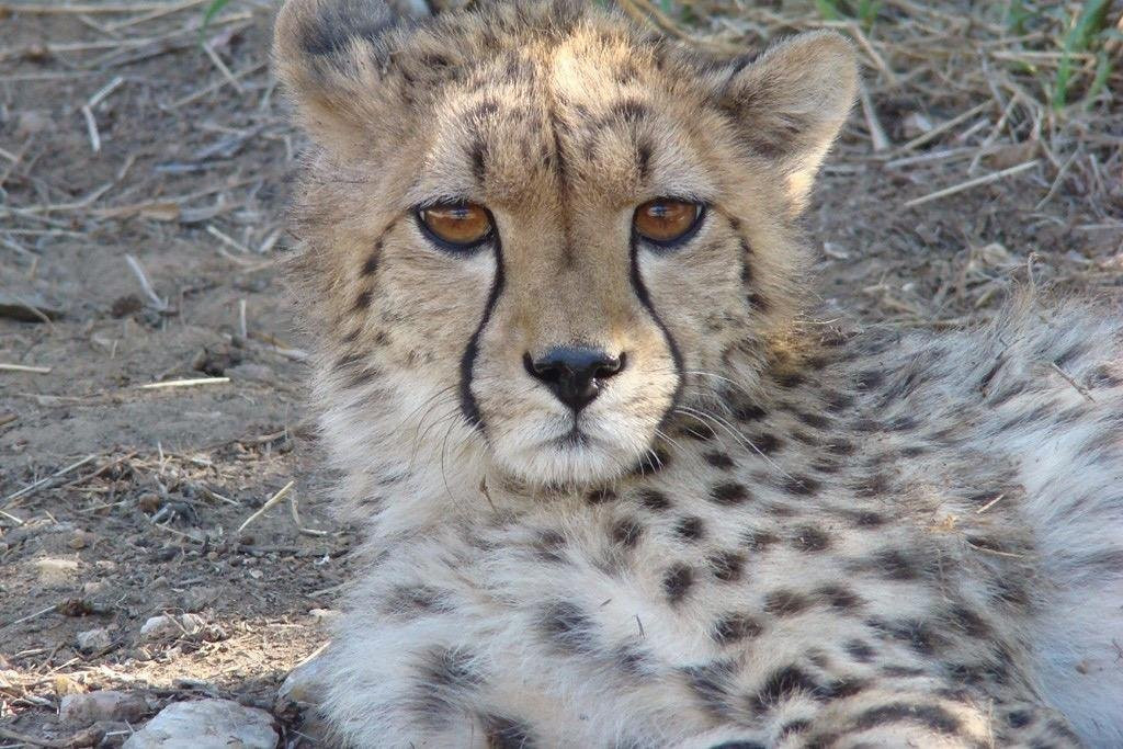 Across Africa Tours LLC-温德和克必去景点