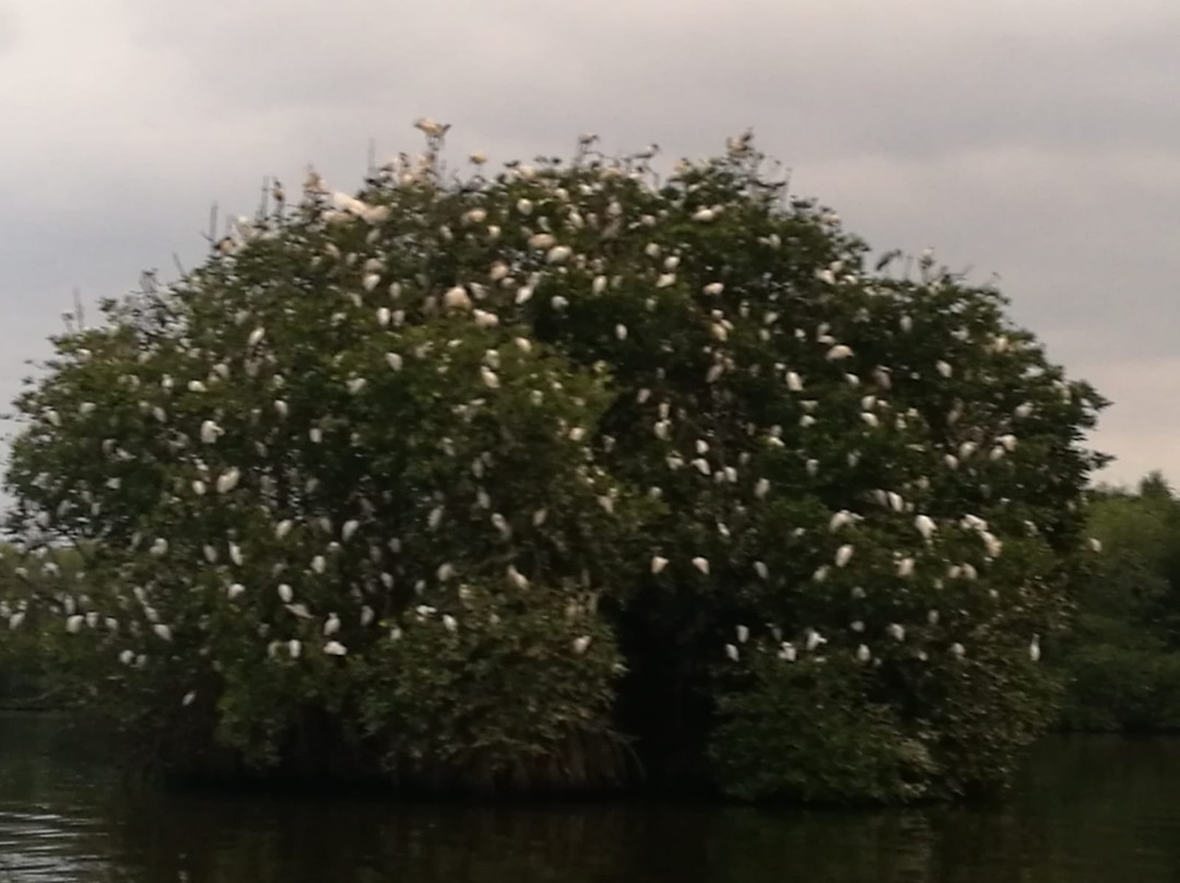 Manik Tours-希克杜沃必去景点
