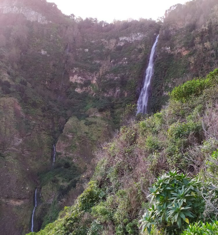 Reserva Natural da Rocha do Navio-Santana必去景点