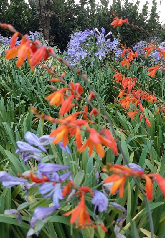 Elgin Country Lodge主图