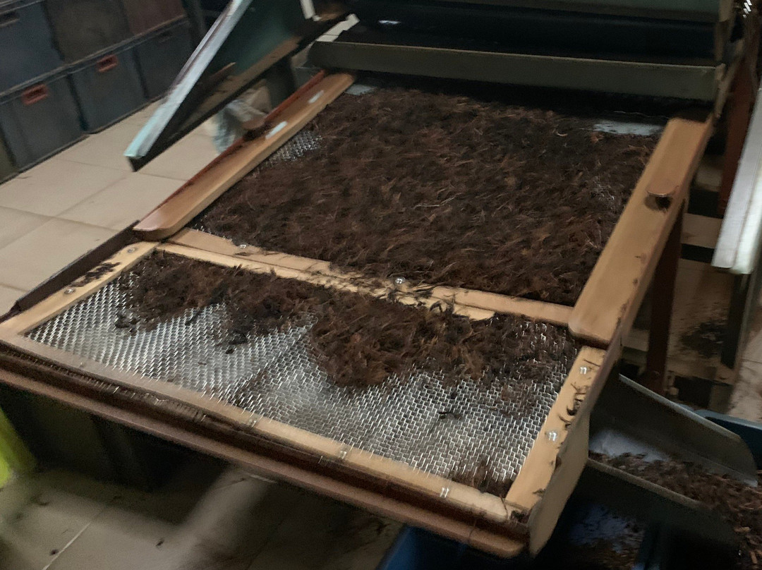 Ceylon Estates Teas景点图片