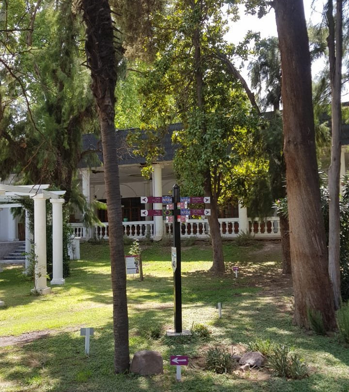 Mercado de Cuyo-Las Heras必去景点