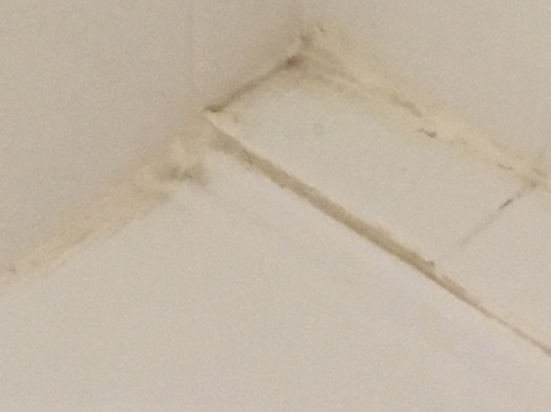 Buffalo Motor Inn主图