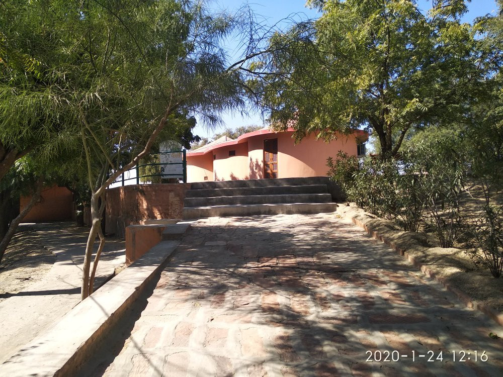 Gudo Bishnoi Lake景点图片