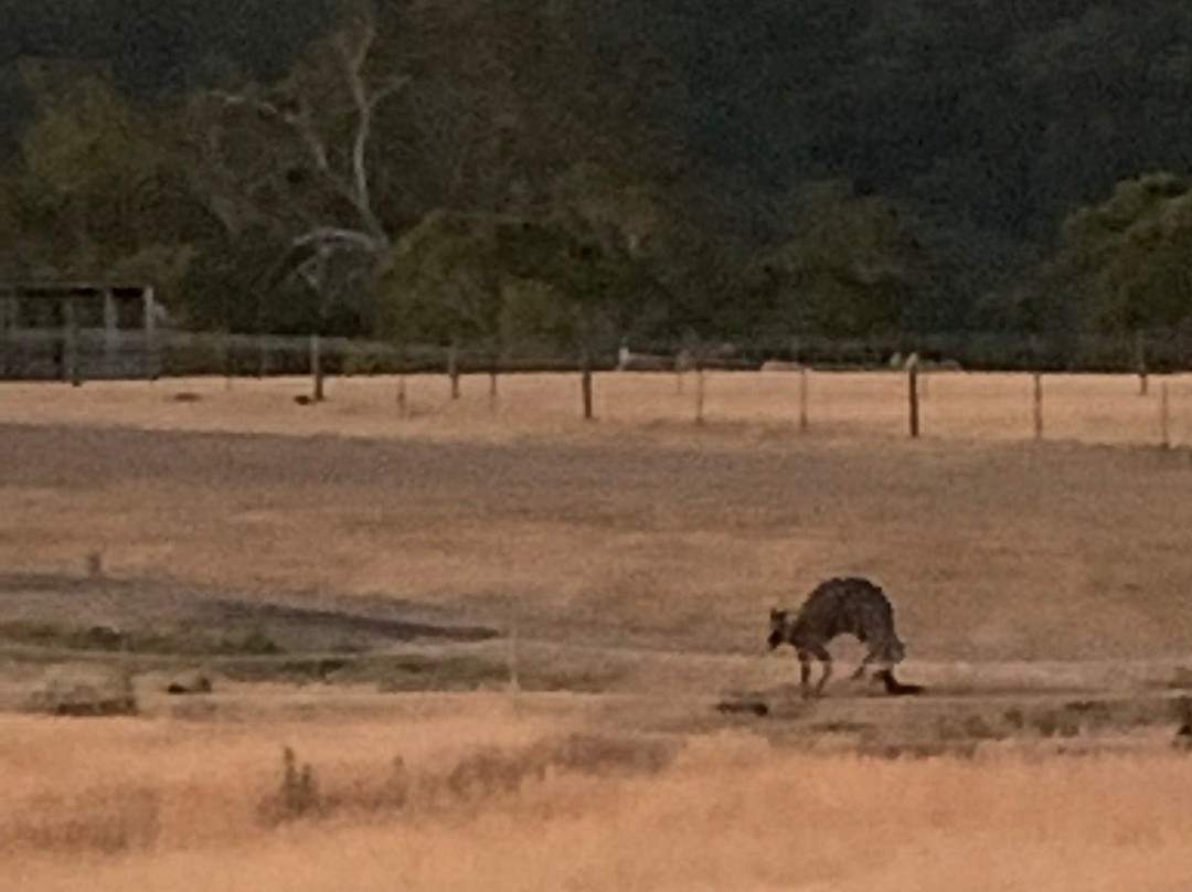 Rooks Edge Bed & Breakfast主图