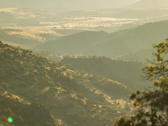 Davis Mountains State Park-Fort Davis必去景点